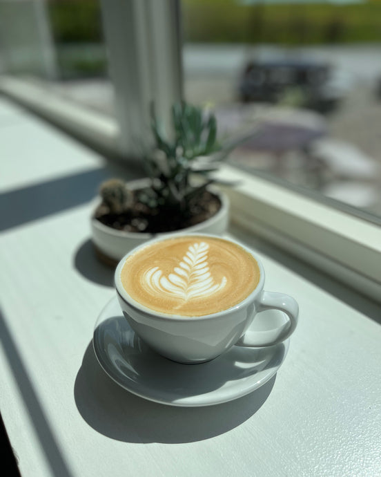 Beginner Barista Course - (1 Day)
