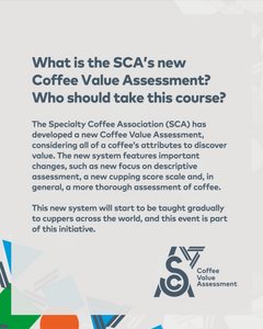 SCA Coffee Value Assessment ~ Course for Cuppers (2 Days)