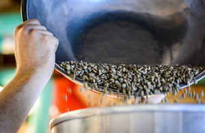 CLI Roasting Course - 5 day