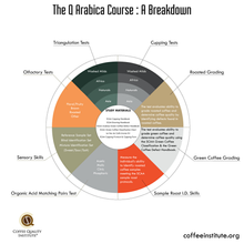 Load image into Gallery viewer, ARABICA Q Grader Course &amp; Exam - CQI - (6 Day)