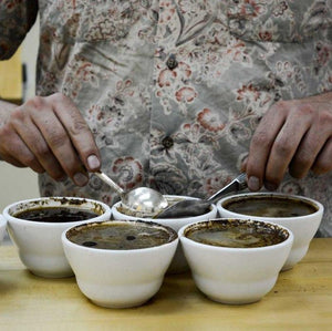 ARABICA Q Grader Course & Exam - CQI - (6 Day)