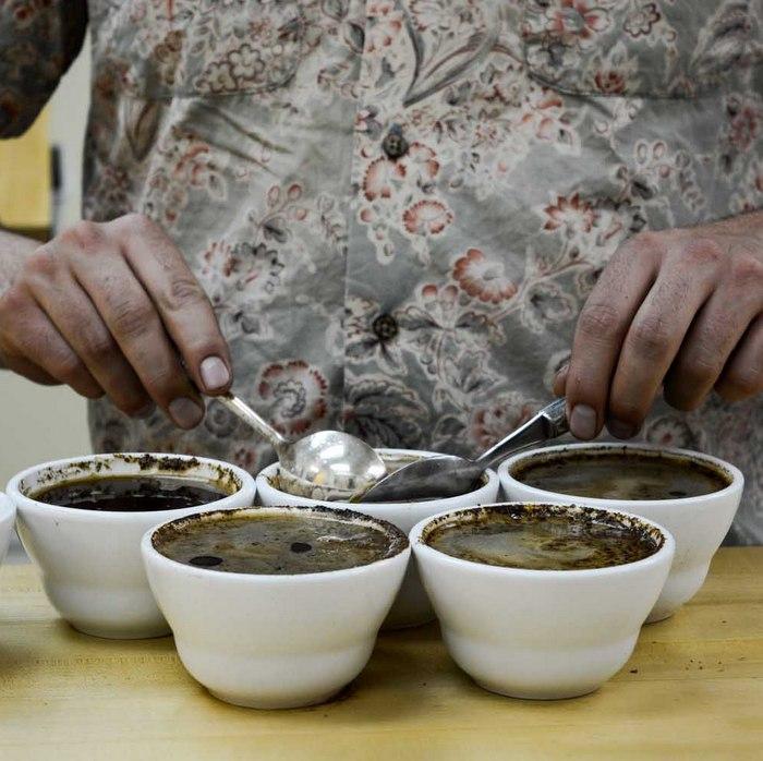 ARABICA Q Grader Course & Exam - CQI - (6 Day)